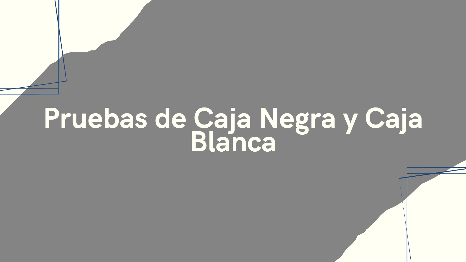 Pruebas de caja negra y caja blanca