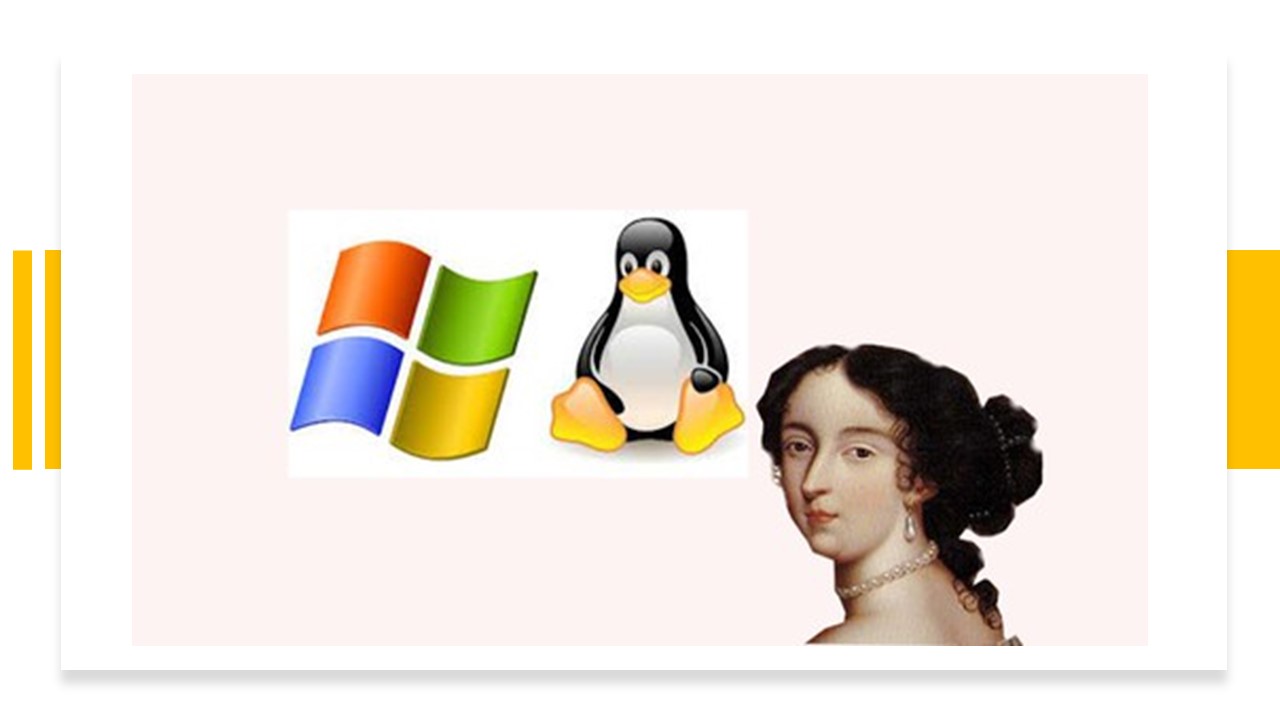 cupon udemy ingeniería inversa