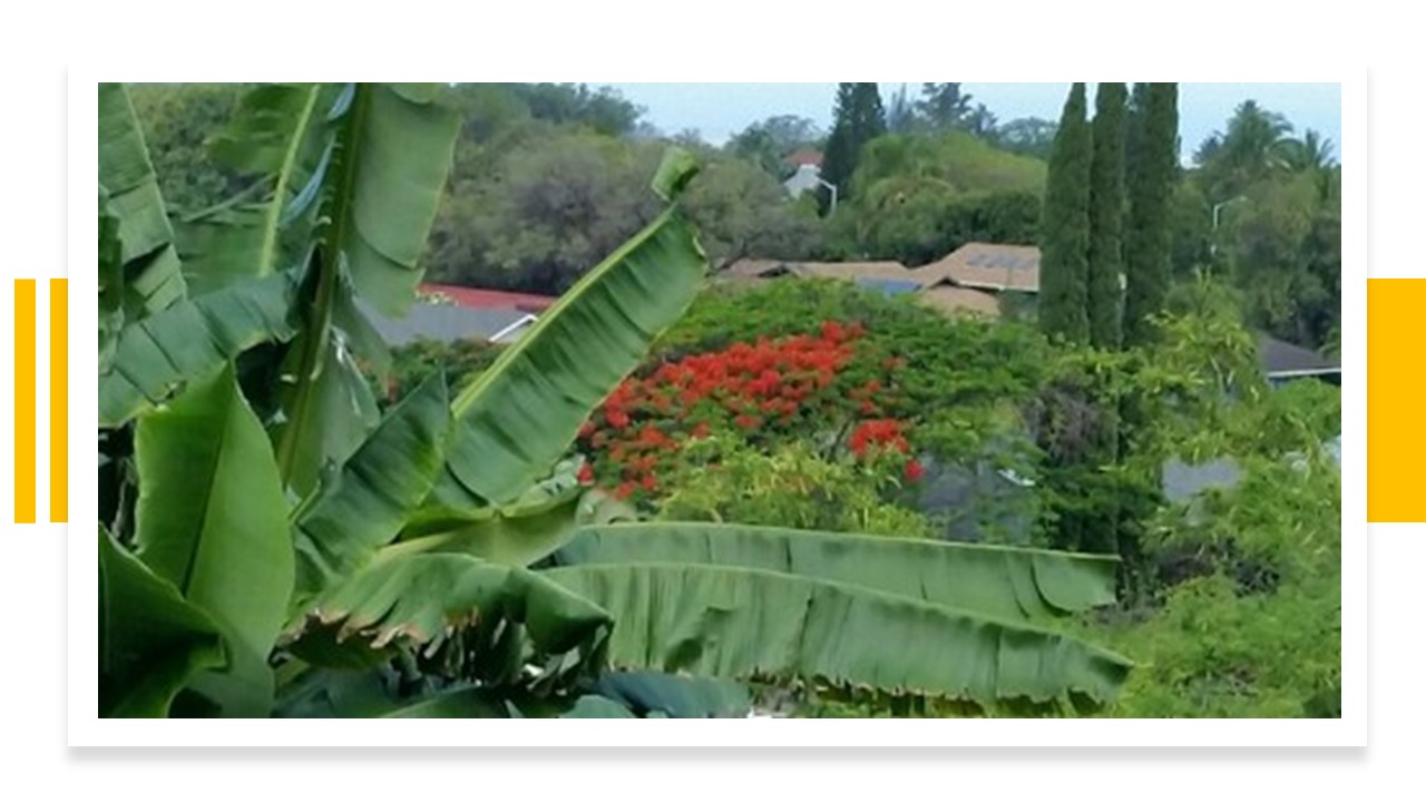 Curso Gratis en Udemy: Aprende sobre el cuidado de la salud