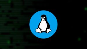 Aprende Kali Linux de la Mano de un Experto: Curso Gratis en Español