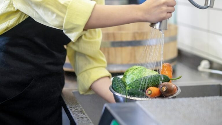 ¡Capacítate Hoy! Domina las Bases para el Manejo Higiénico de Alimentos Curso Gratuito