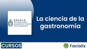 La Ciencia de la Gastronomía - Curso de programación gratis