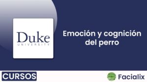 Emoción y cognición del perro - Curso de programación gratis