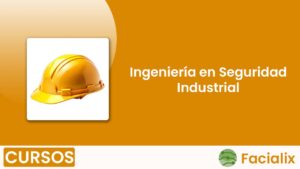 Ingeniería en Seguridad Industrial - Curso de programación gratis