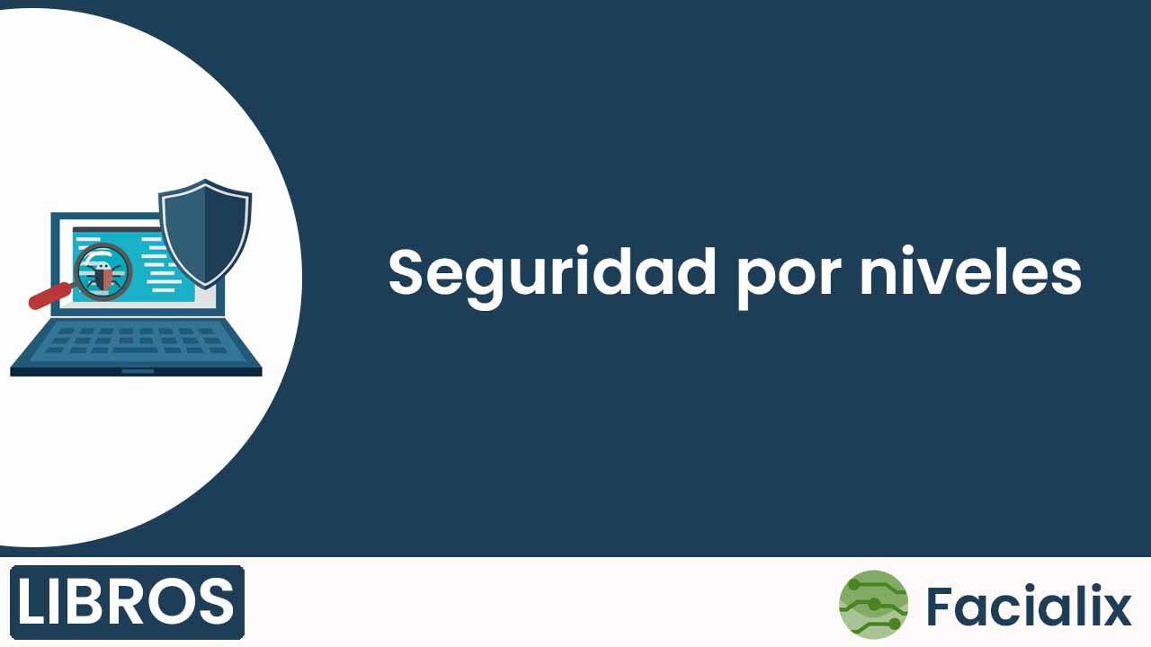 Seguridad por niveles