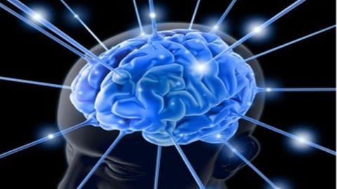 Design Thinking: Guía para profesionales exitosos