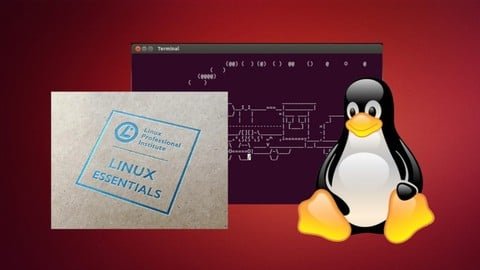 Linux desde Cero: Domina la Terminal y Prepárate para la Certificación