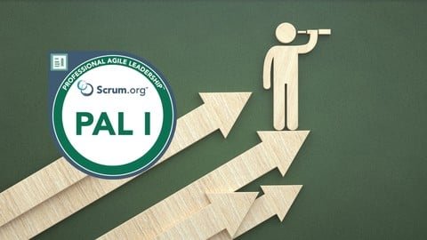 Práctica para la Certificación Professional Agile Leadership (PAL I)