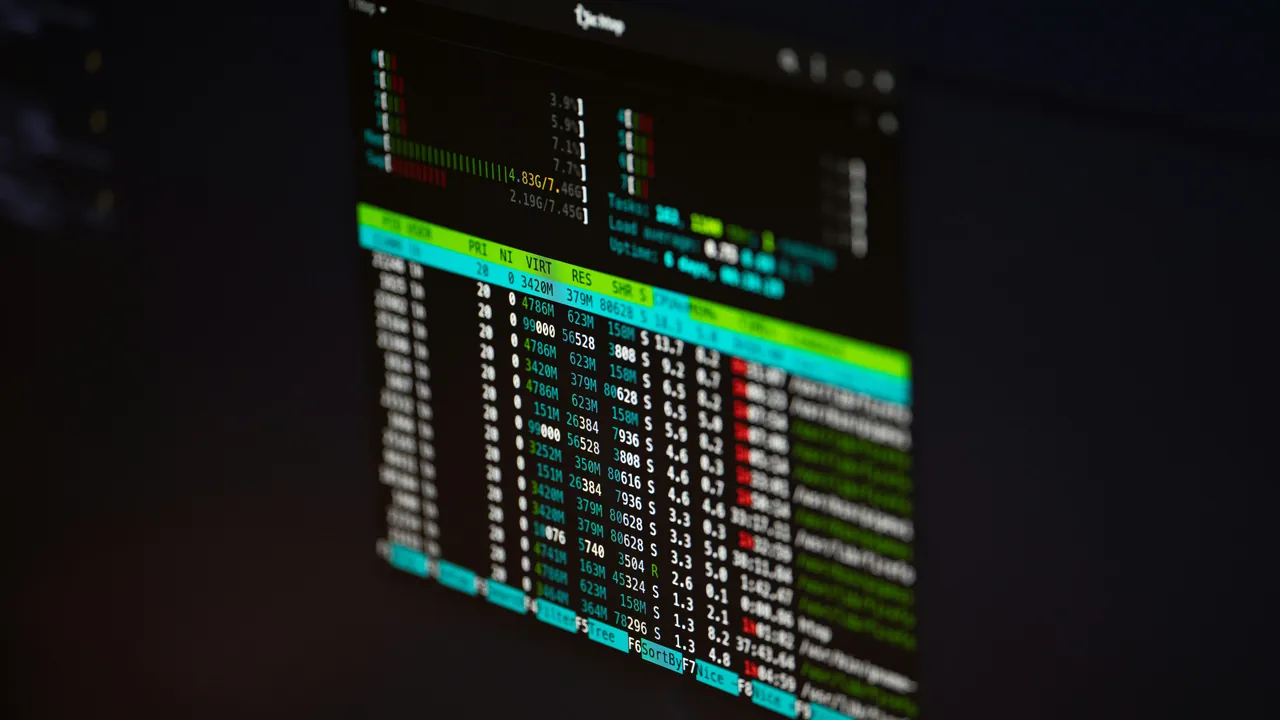 Terminal de Linux - comandos y programación