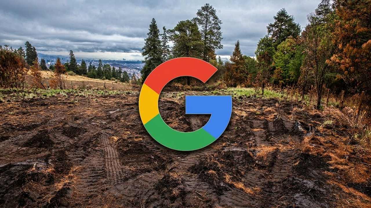 Ilustración del logo de Google sobre un bosque talado en Finlandia - Facialix