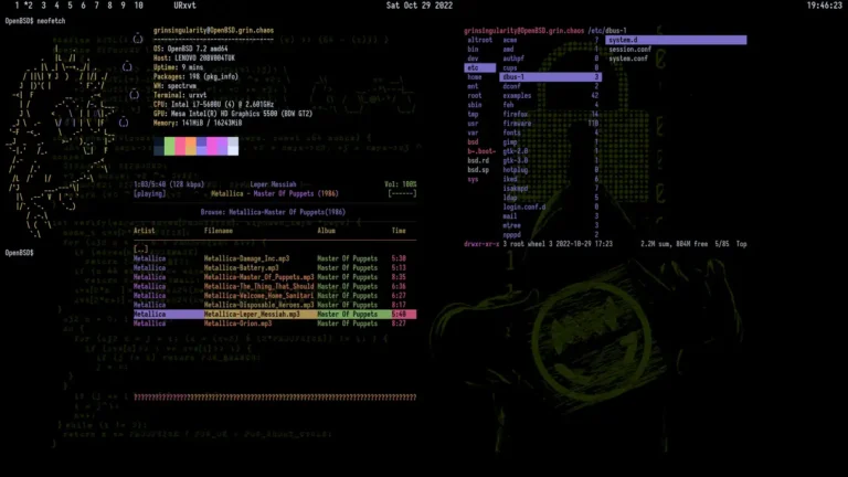 OpenBSD: el bug de 1988 que da root y el parche que muchos omitieron - Facialix